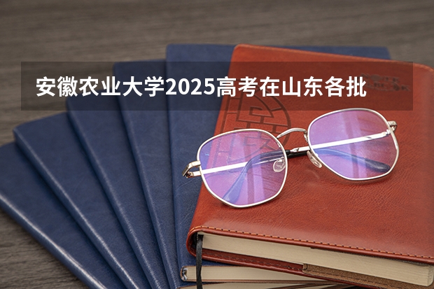 安徽农业大学2025高考在山东各批次选科要求