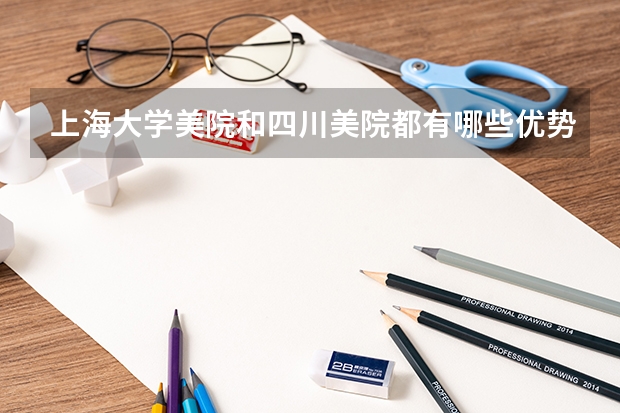 上海大学美院和四川美院都有哪些优势？分别介绍下