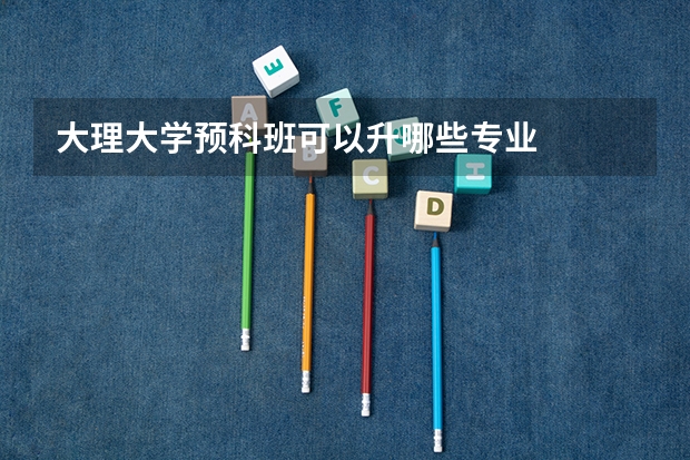 大理大学预科班可以升哪些专业