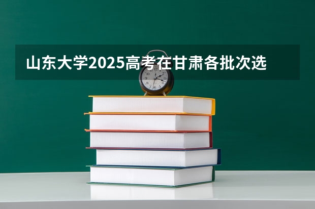 山东大学2025高考在甘肃各批次选科要求