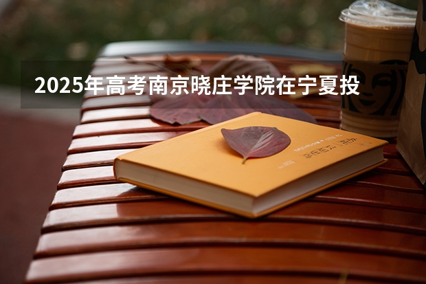 2025年高考南京晓庄学院在宁夏投档分数线是多少