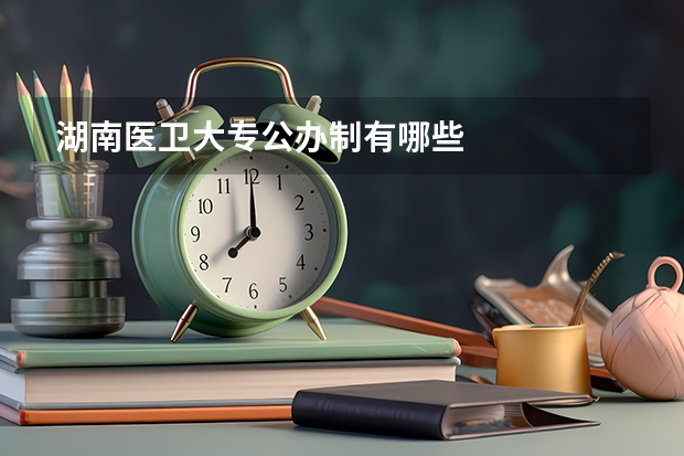 湖南医卫大专公办制有哪些