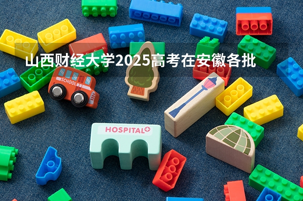 山西财经大学2025高考在安徽各批次选科要求
