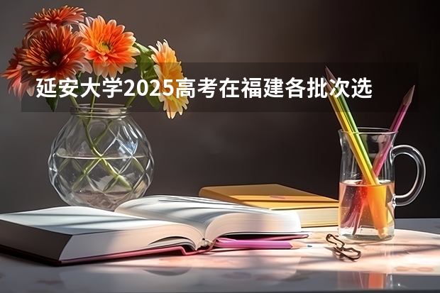 延安大学2025高考在福建各批次选科要求
