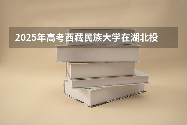 2025年高考西藏民族大学在湖北投档分数线是多少