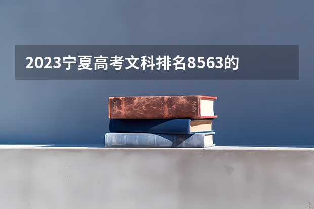 2023宁夏高考文科排名8563的考生报哪所大学 往年录取分数线