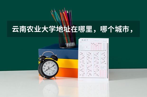 云南农业大学地址在哪里，哪个城市，哪个区？